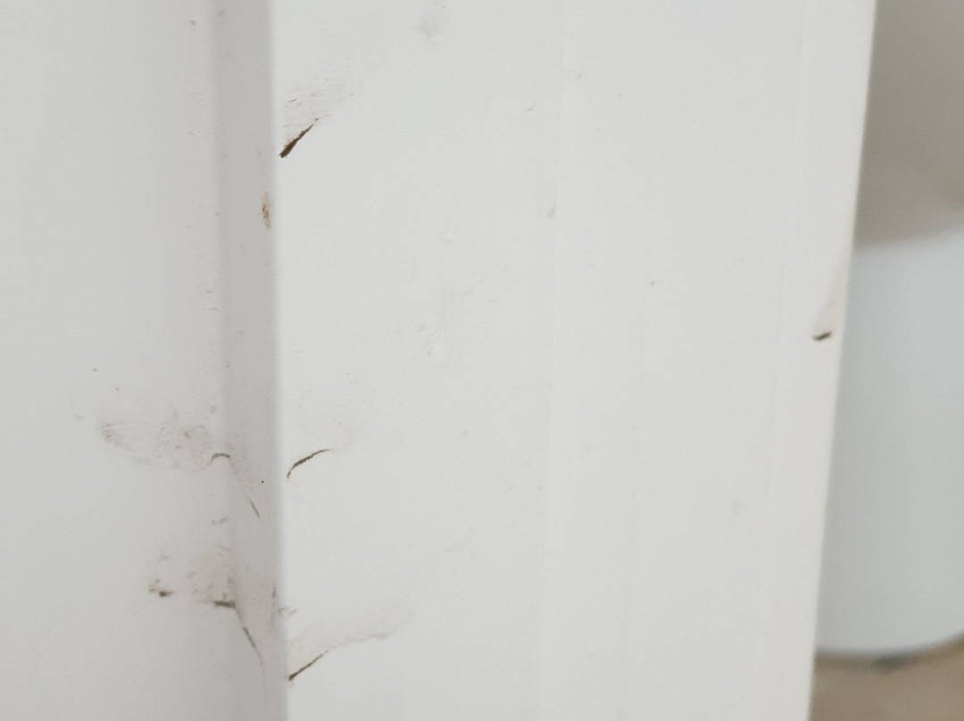 Castaways B&B and Guest House主图