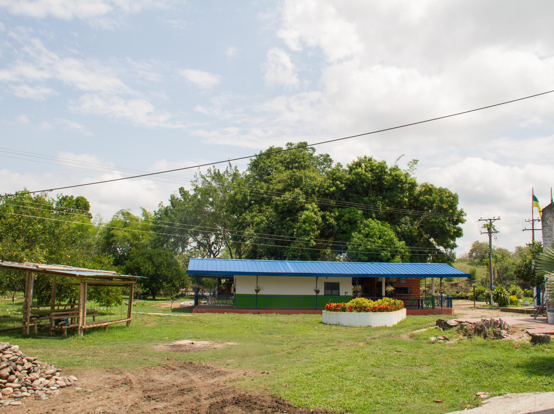 Biking Trips-内瓦必去景点