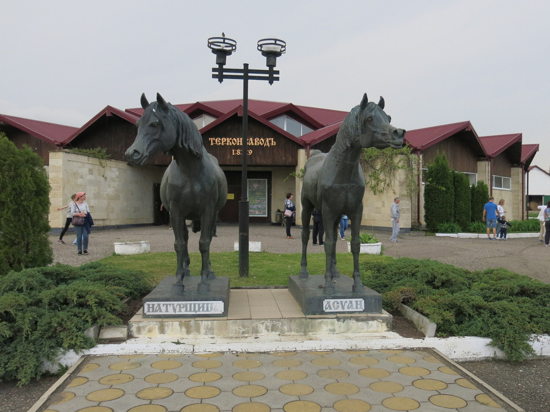 Terskiy Horse Ranch景点图片