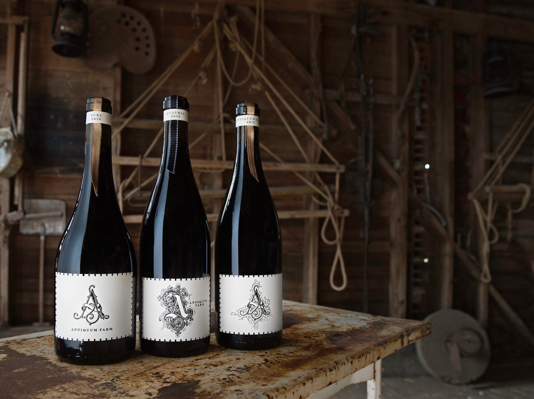 Antiquum Farm-Junction City必去景点