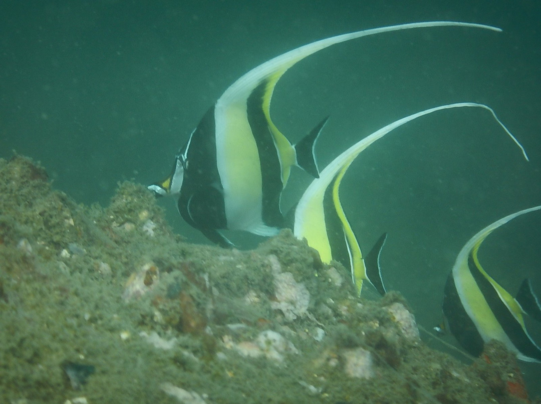 West Coast Adventures Kapu-乌杜皮必去景点