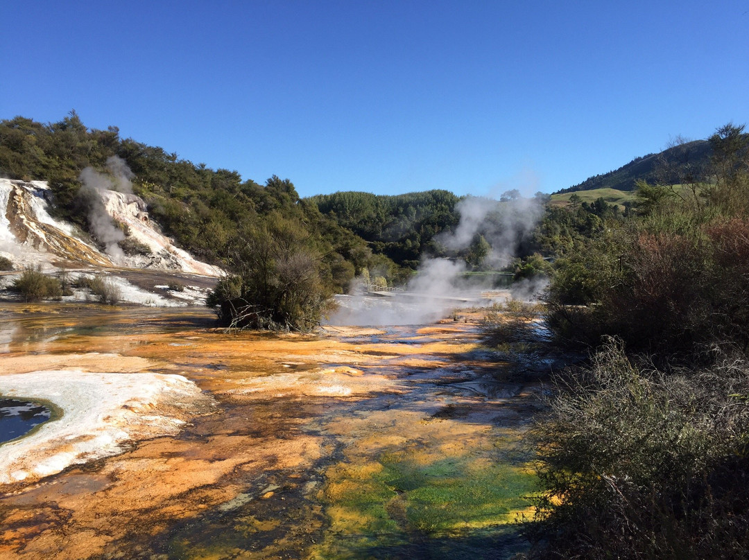 Orakei Korako Cave & Thermal Park景点图片