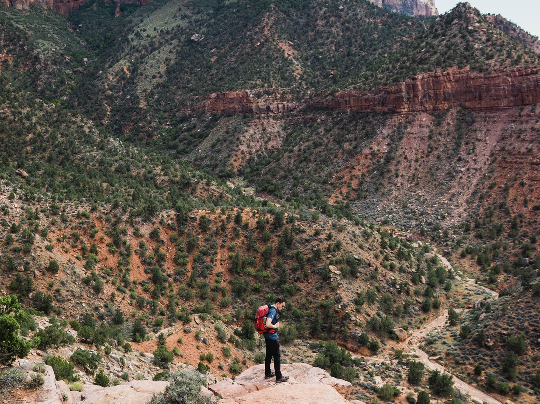 Watchman Trail-锡安国家公园必去景点