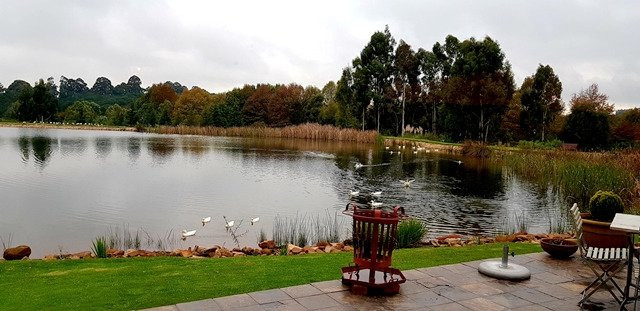 Critchley Hackle主图