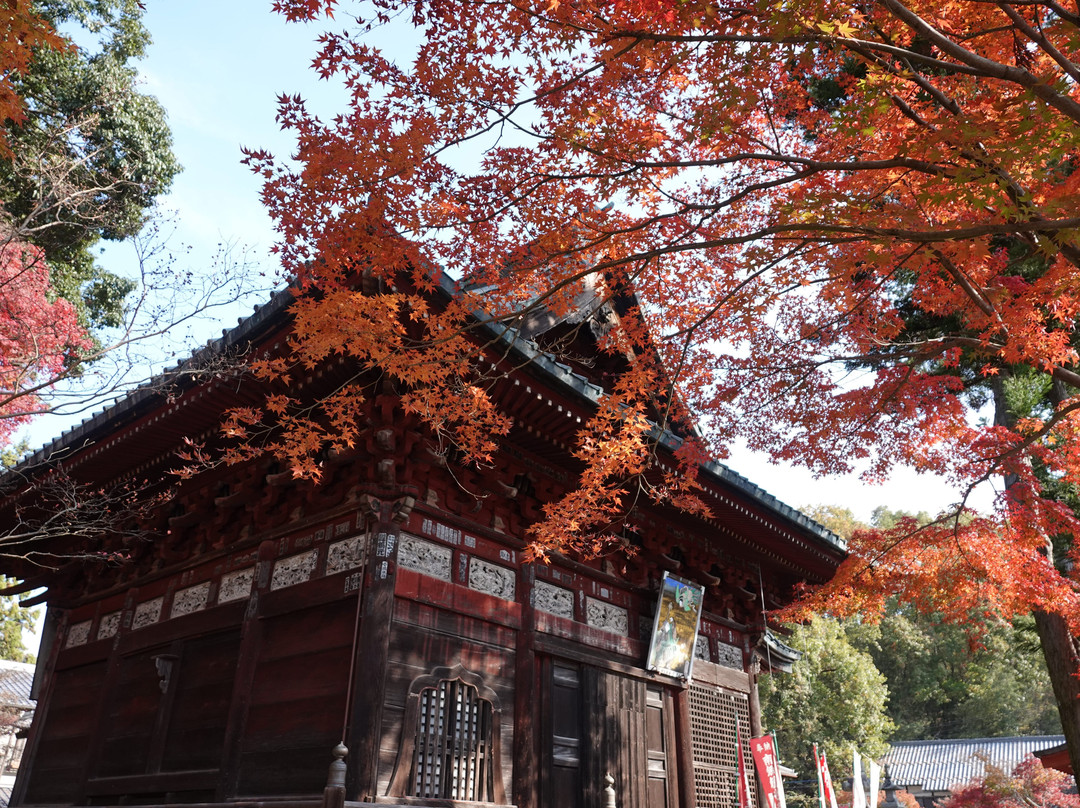 Zukyosan Shimabuji Temple-秩父市必去景点