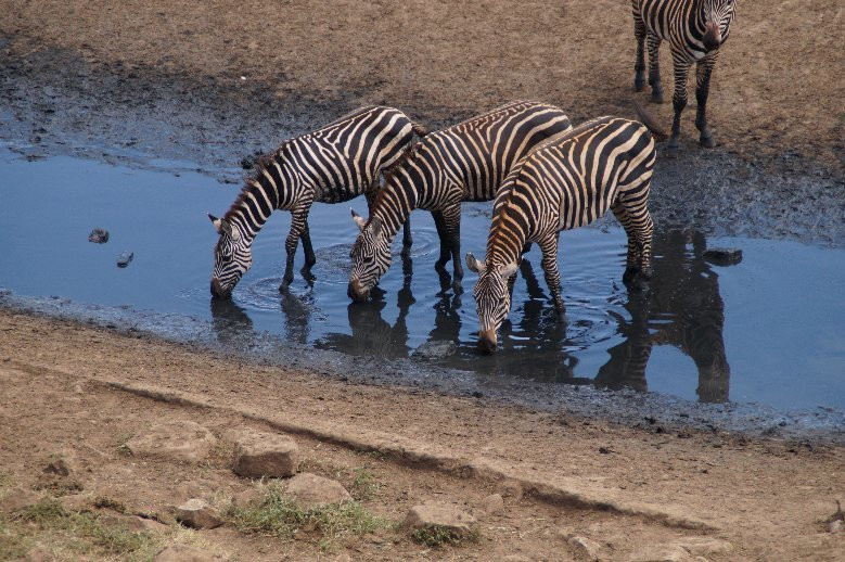 Tsavo Safaris Tours-查佛必去景点