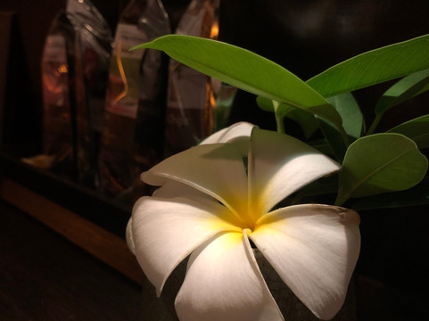 Swasana Spa-苏梅岛必去景点