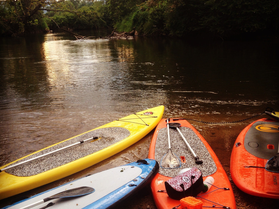 White Squirrel Paddle Boards景点图片