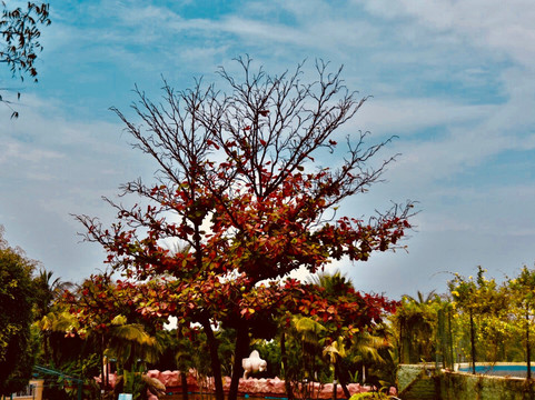 Diamond Parks - Water, Adventure & Camping-浦那必去景点