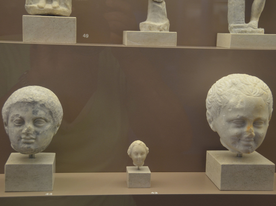 Archaeological Museum of Brauron景点图片