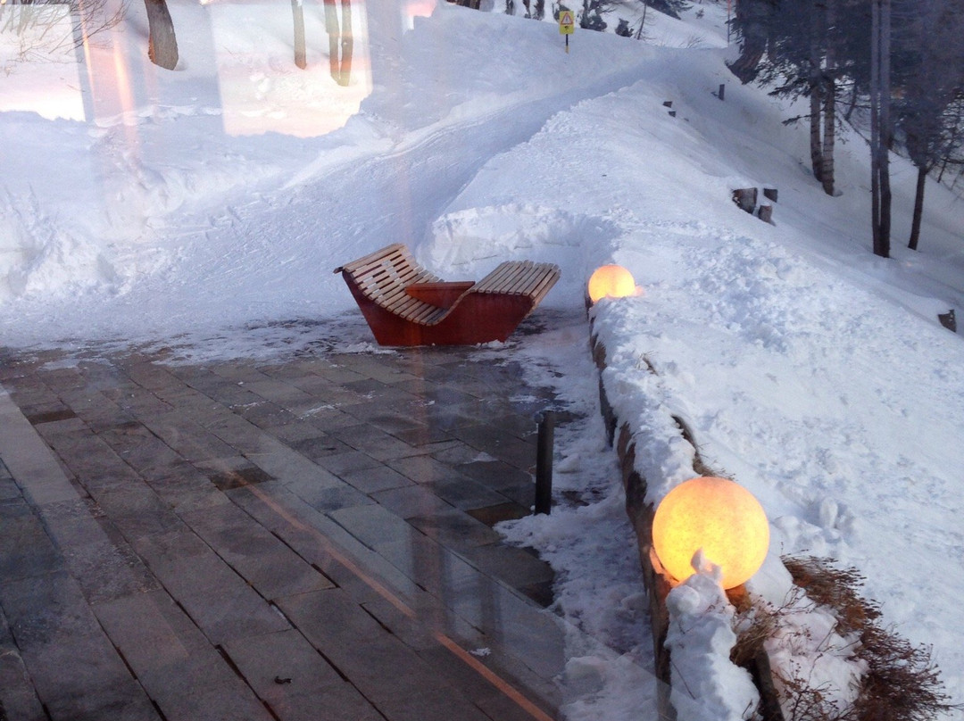 Berggasthaus Wasenalp主图