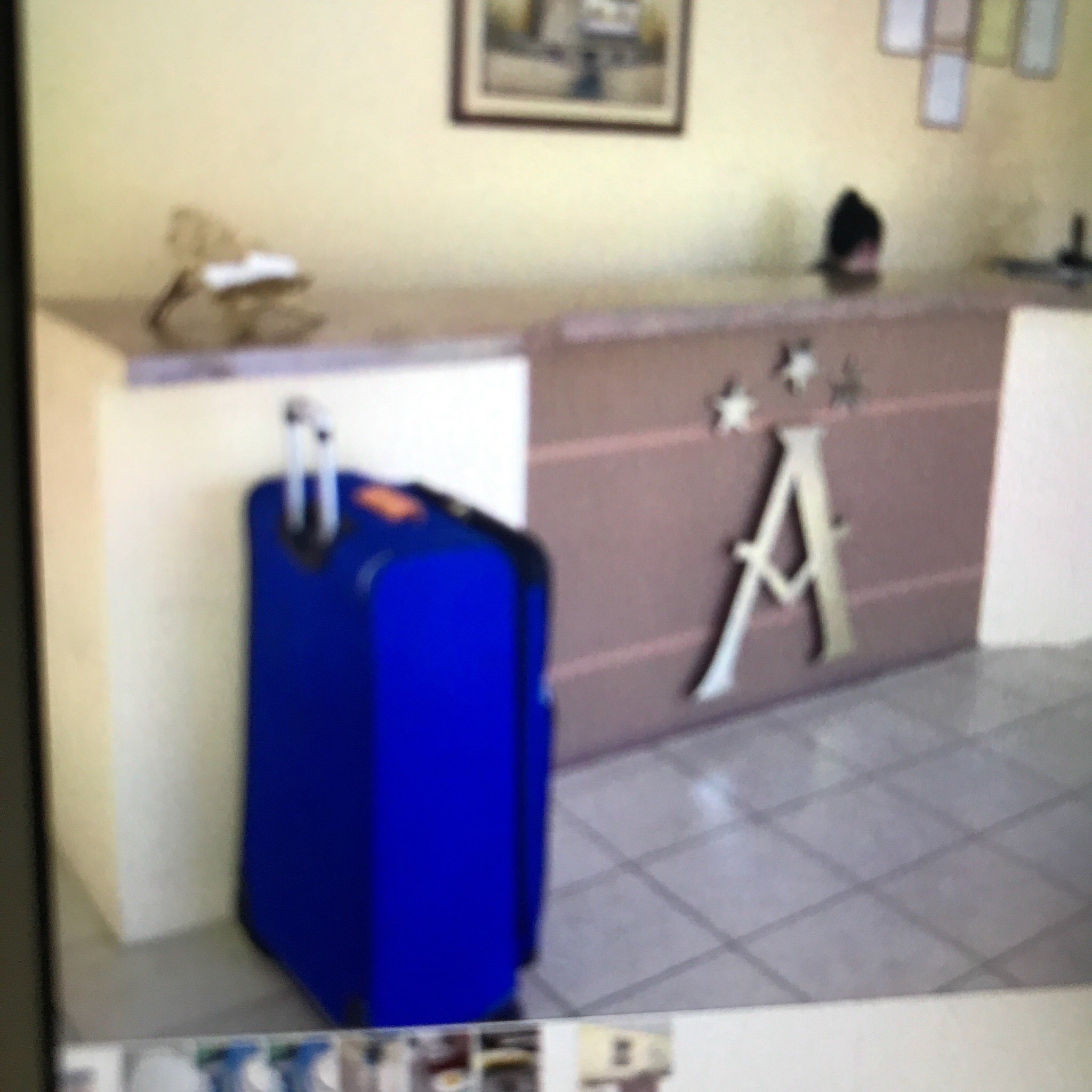 Apart-Hotel Anteus-官方