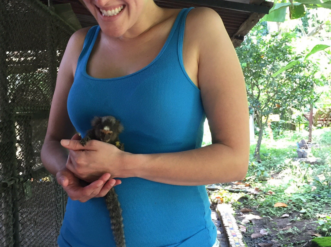Costa Rica Animal Rescue Center景点图片