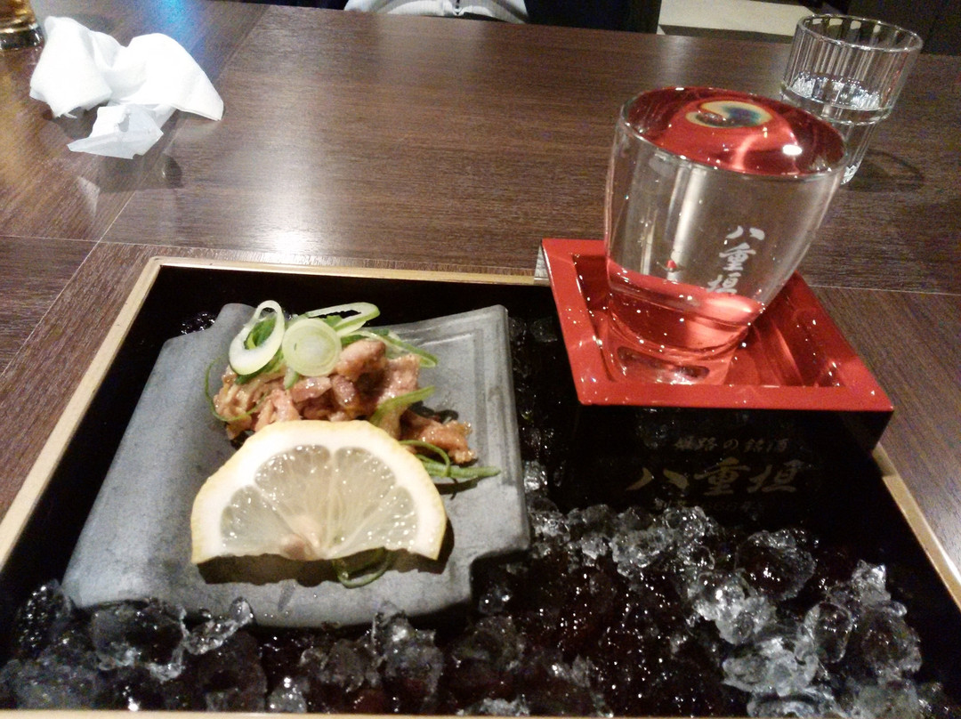 Himeji Castle Grandvrio Hotel主图