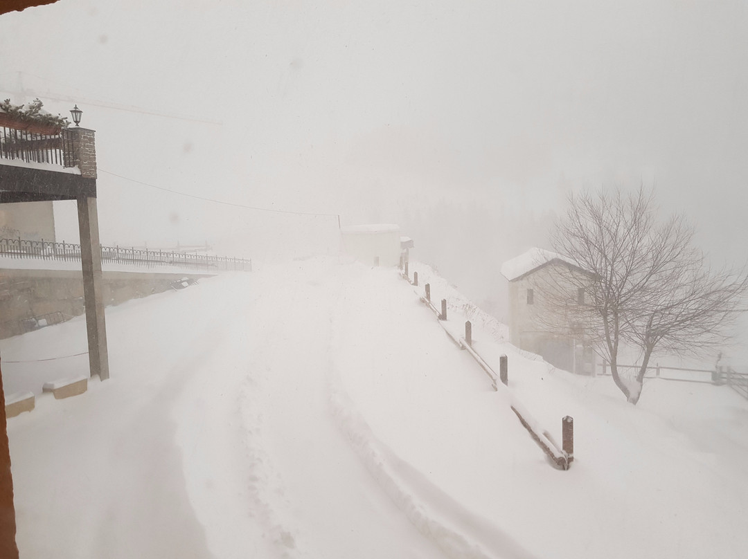 Hotel Bruxelles主图