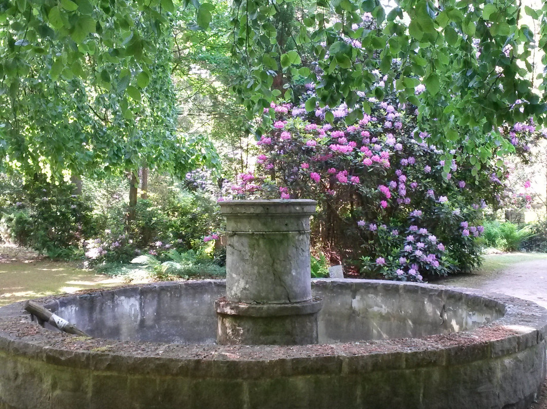 Suedwestkirchhof Stahnsdorf景点图片