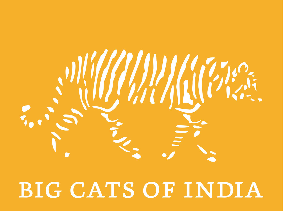 Big Cats of India