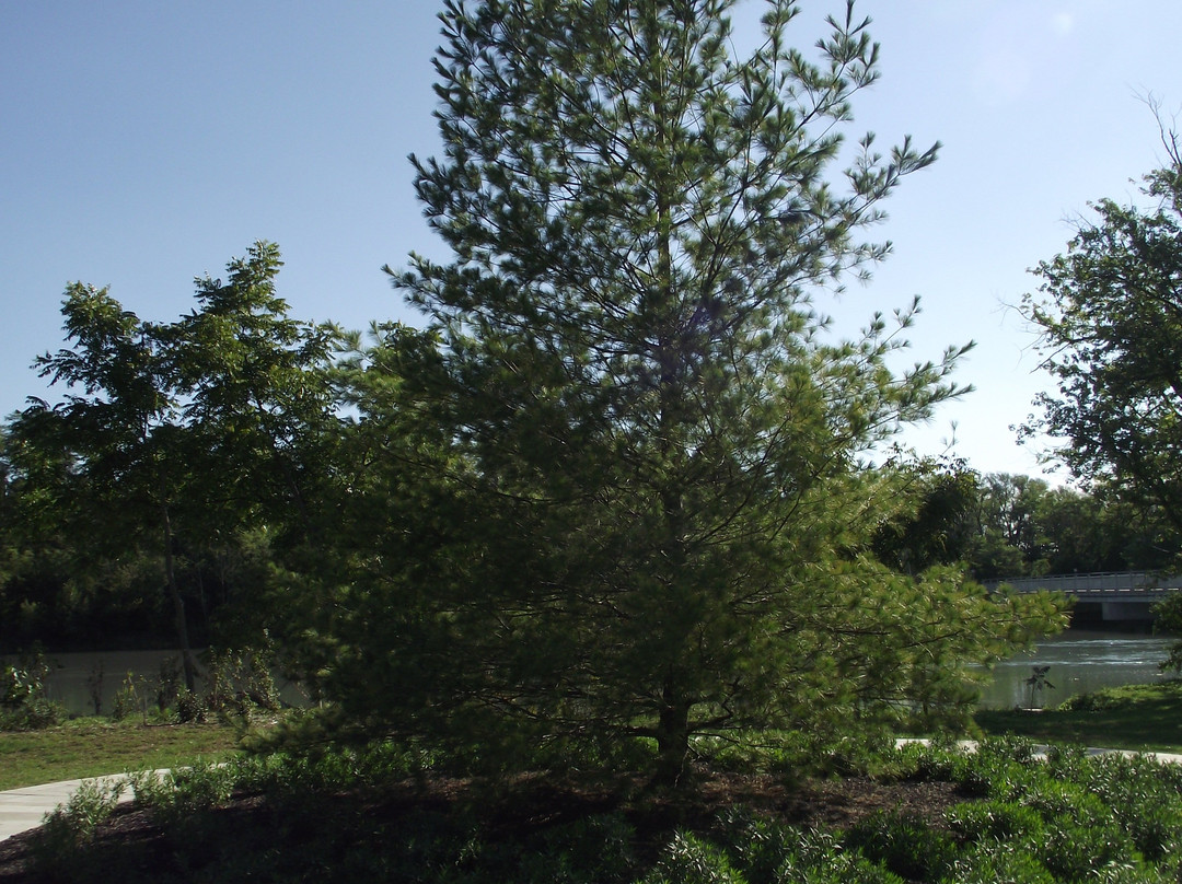First Nations Peace Monument-Thorold必去景点