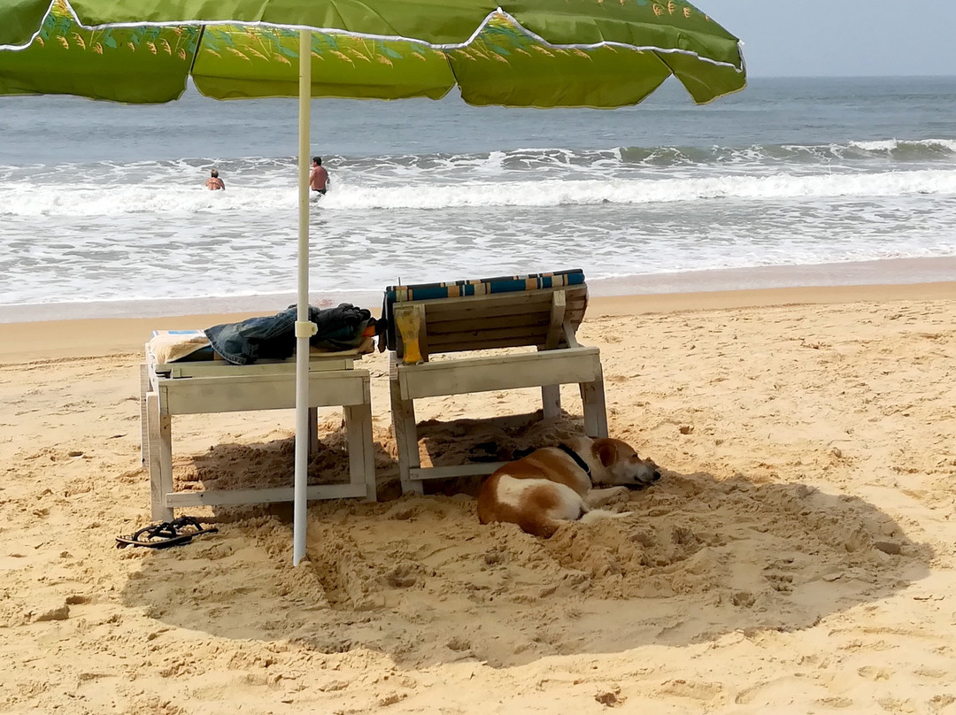 Shikara Beach Resort主图