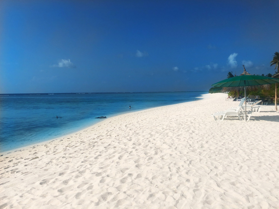 Tiny Island Maldives主图