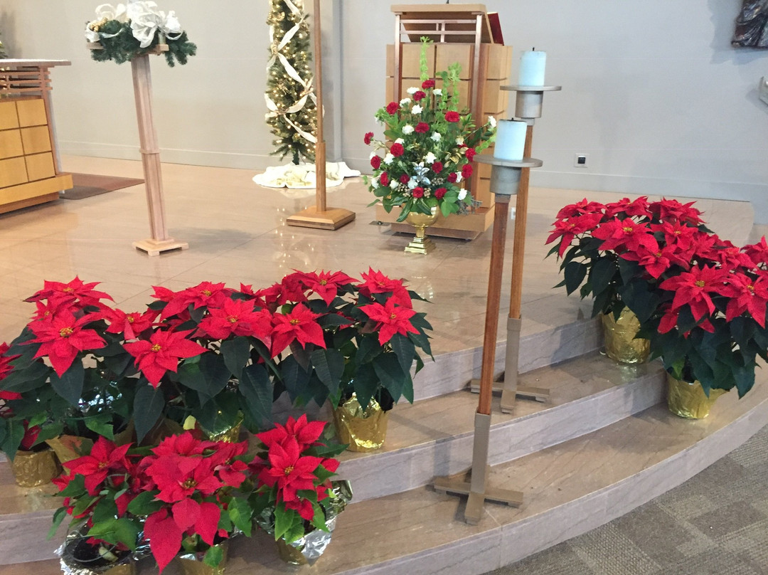 Saint Joseph Catholic Church-玛丽埃塔必去景点