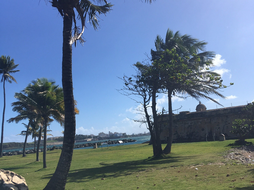 Isla de Cabras-Toa Baja必去景点