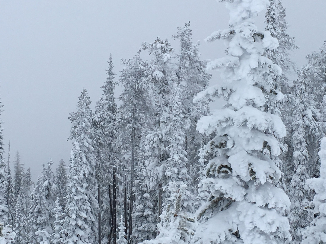 Blacktail Mountain Ski Area-Lakeside必去景点