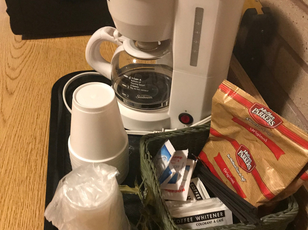 Safari Inn Motel主图