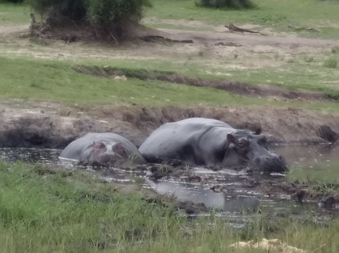 African Joined Tours and Safaris-李文斯顿必去景点