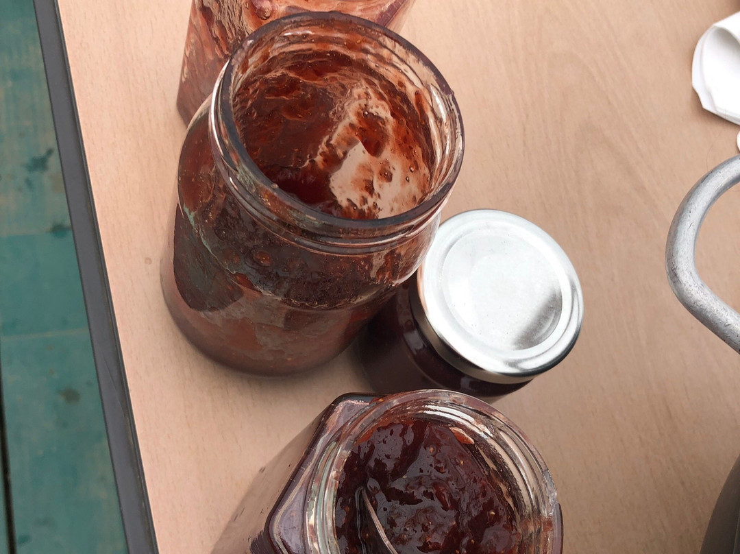 Yangsu-ri Strawberry Farm Experience-杨平郡必去景点