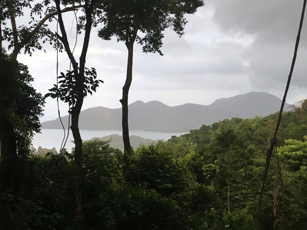 Atremaru Jungle Retreat主图