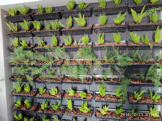 Aruá Pousada Boutique主图