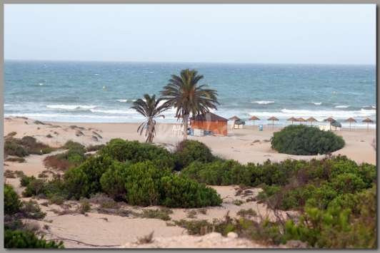 Playa de La Marina景点图片