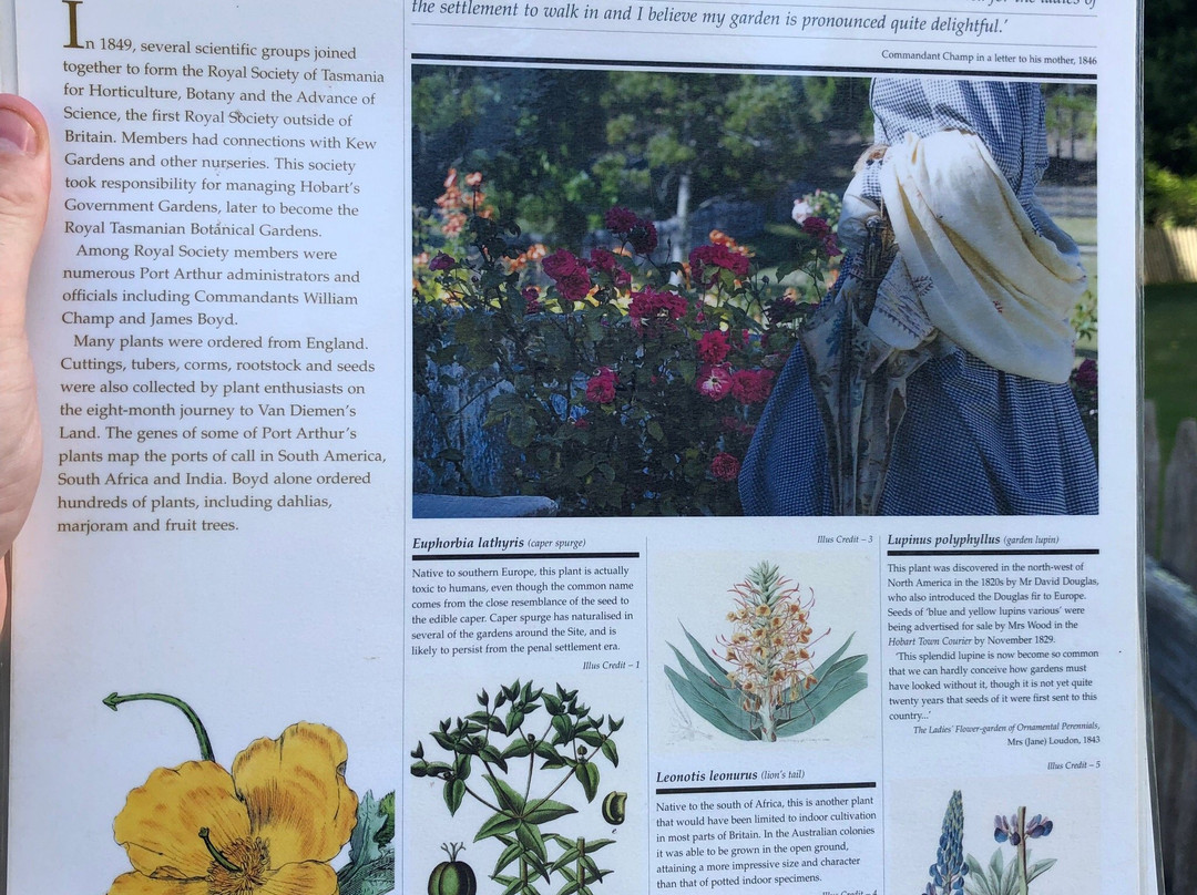 Government Gardens-亚瑟港必去景点