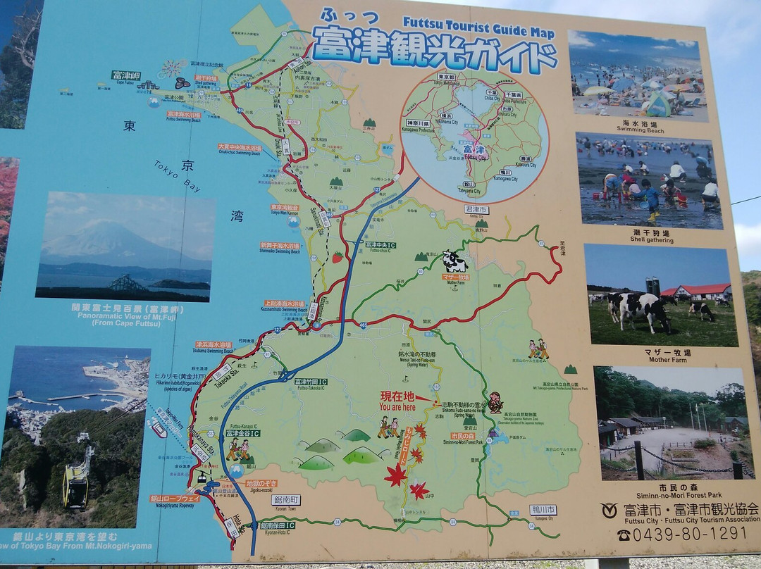 Maple Road-富津市必去景点