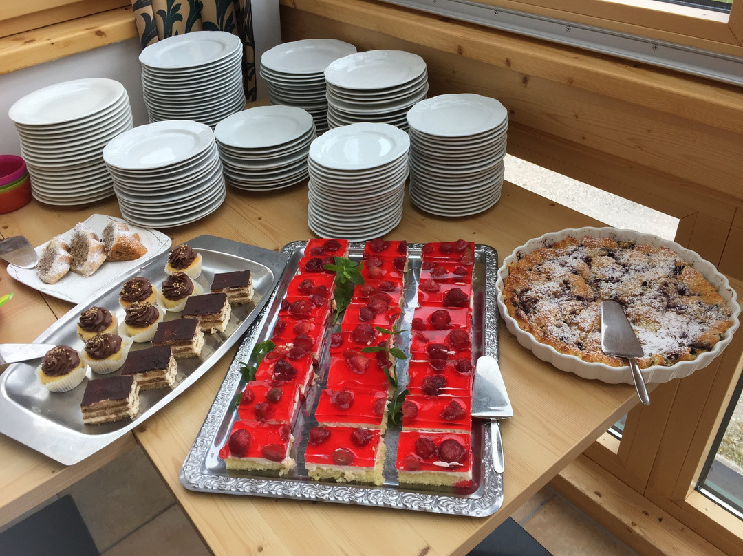 Tauplitz酒店住宿-Hotel Alpen Arnika