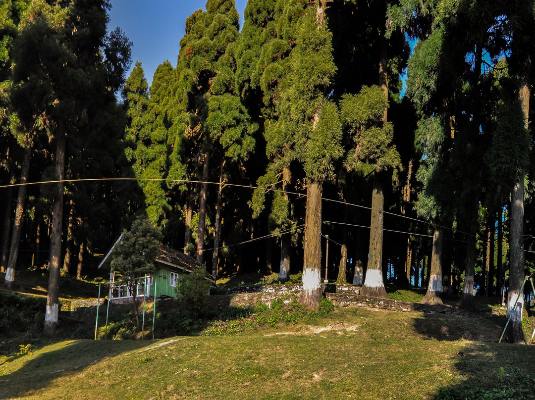 WBFDC LAVA Nature Resort主图