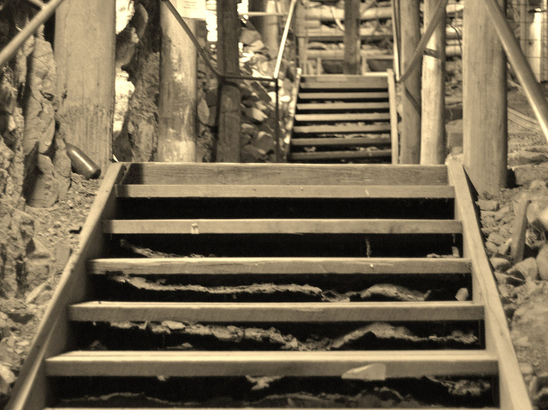 Mount Misery Gold Mine Museum-Nundle必去景点