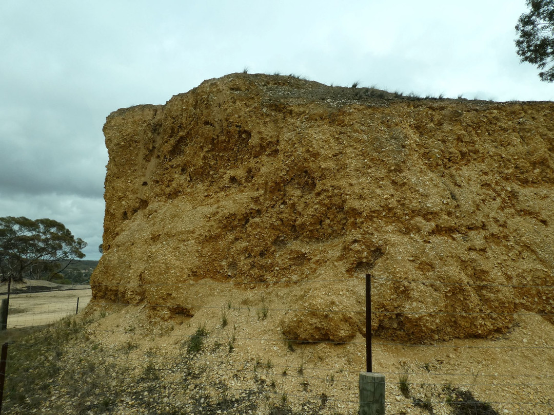 Shell Hill-Walker Flat必去景点