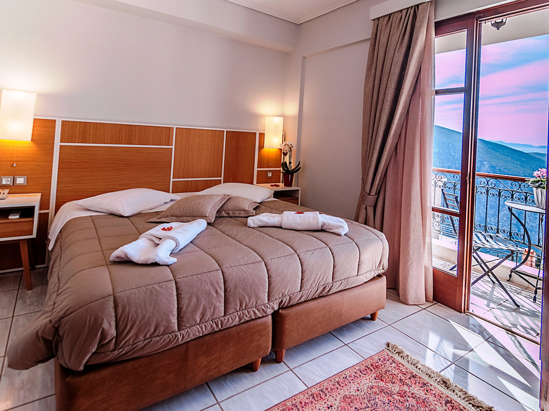 费德雷亚迪斯德尔菲酒店主图