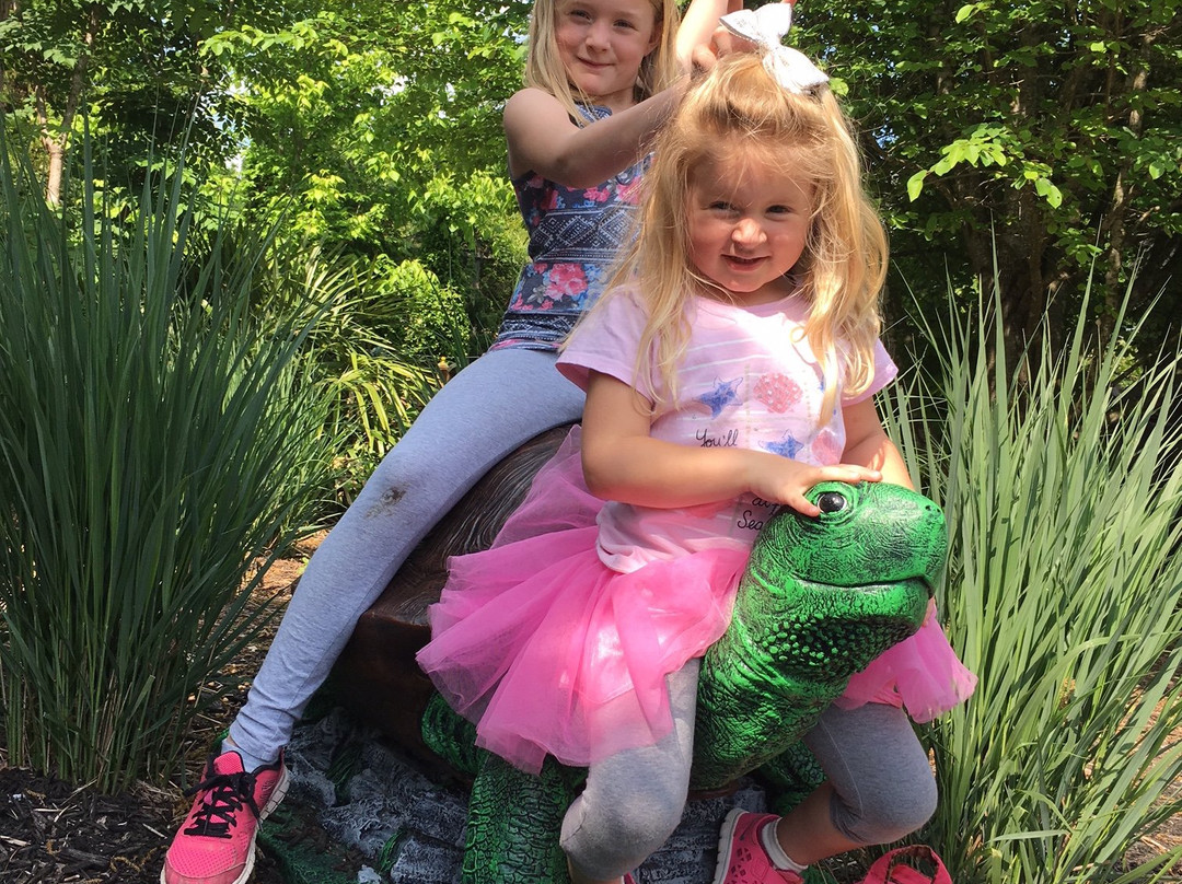 Ponds and Plants-Dayton必去景点