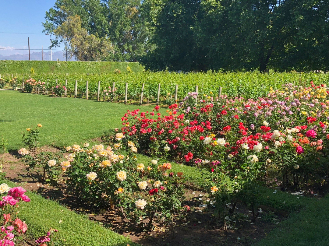 阿格雷洛旅游攻略图片