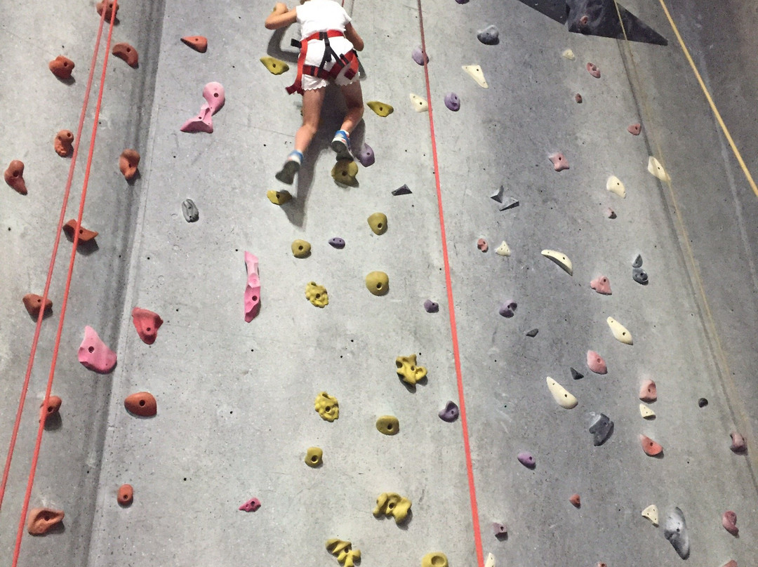 Hangdog Climbing Gym-卧龙岗市必去景点
