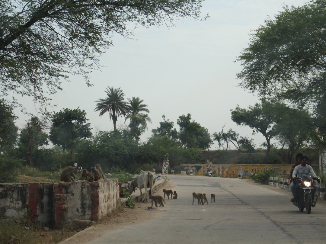 ToRoots-斋蒲尔必去景点