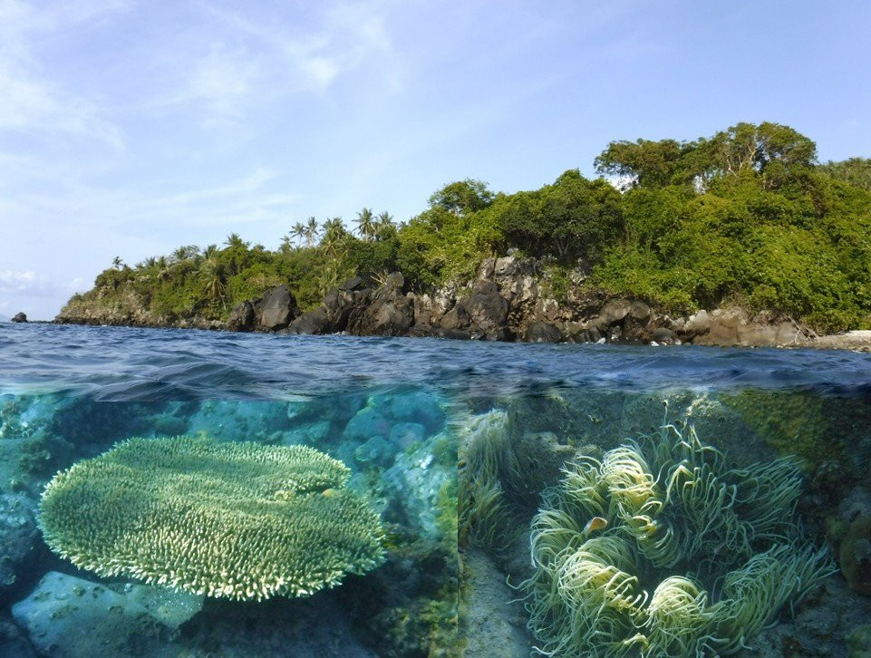 Napo Beach Resort主图