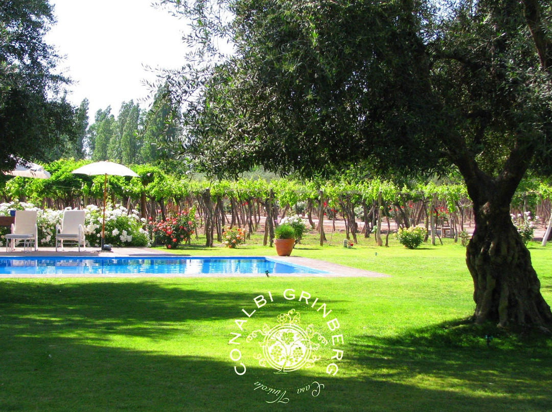 Conalbi Grinberg Casa Vinicola主图