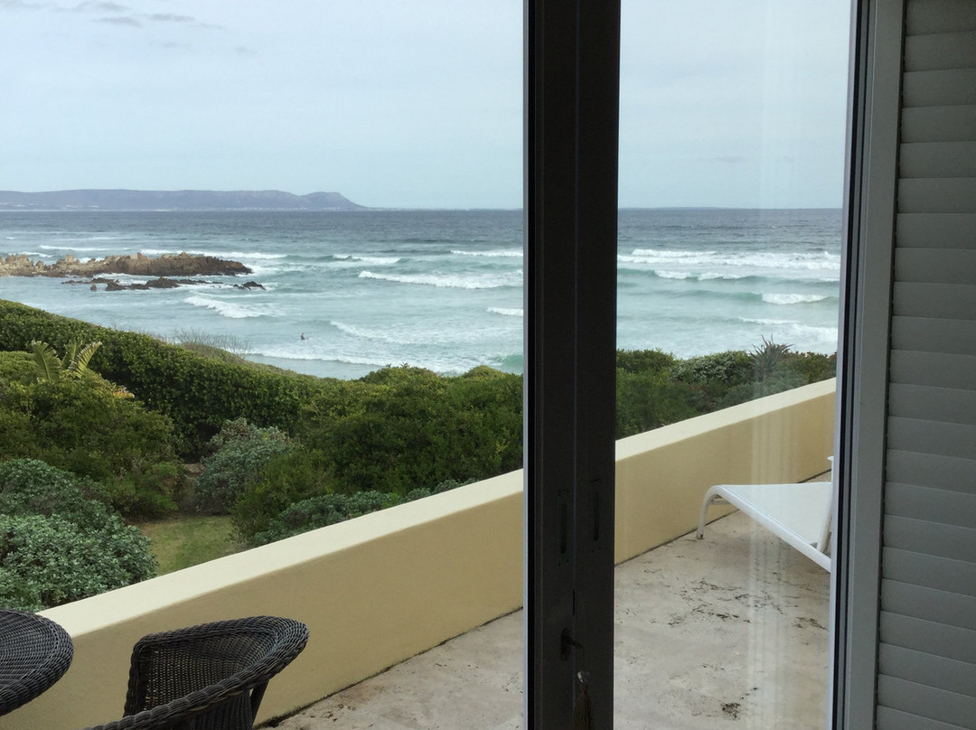 Birkenhead House主图