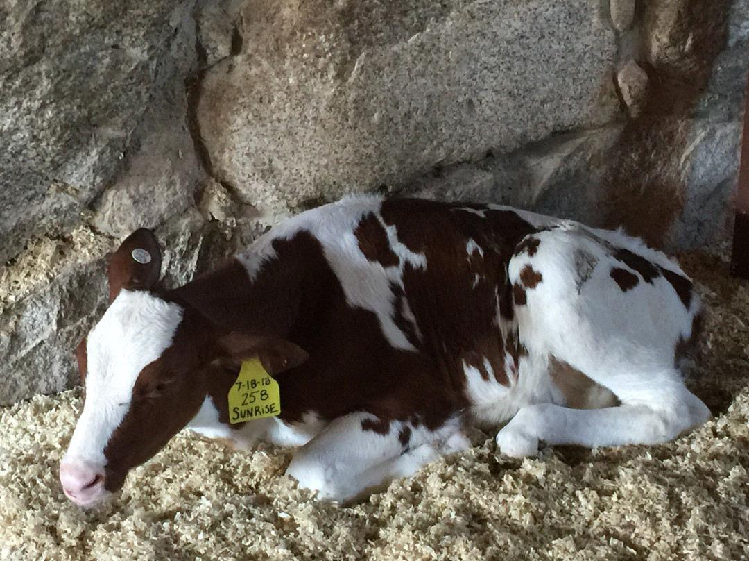 Hornstra Farms-Norwell必去景点