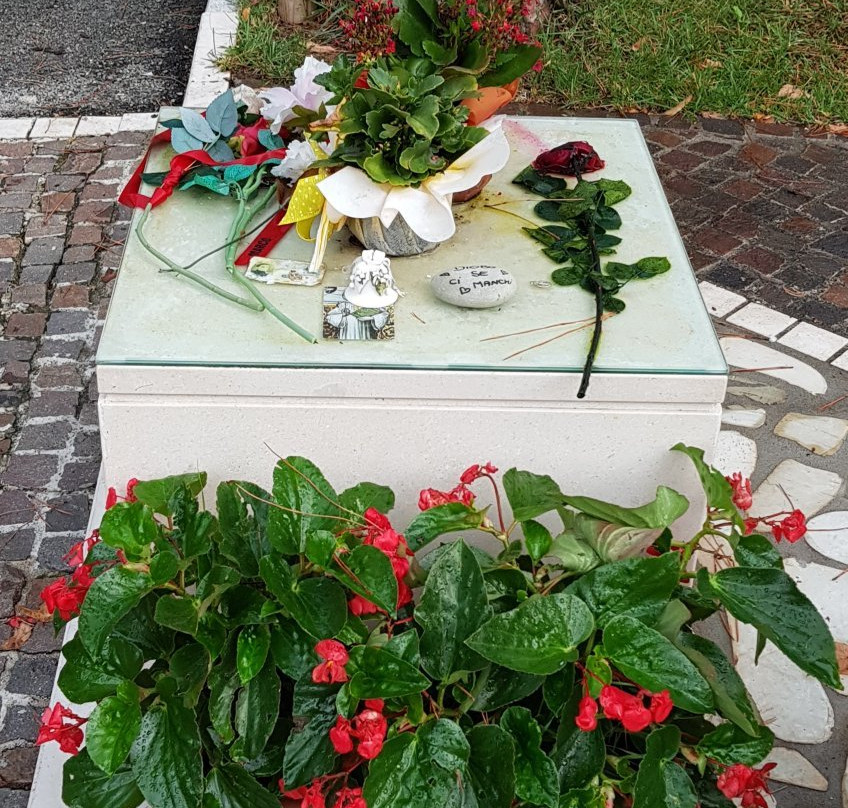 Monumento Marco Simoncelli景点图片