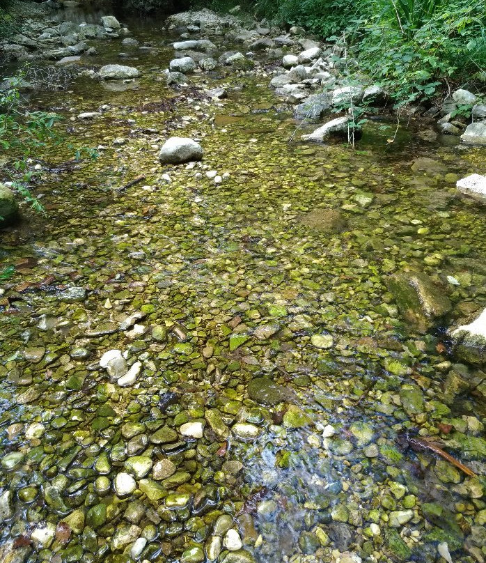 Rio Vitoschio-Apecchio必去景点